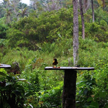 Villa Ovita Talpe Ngoại thất bức ảnh