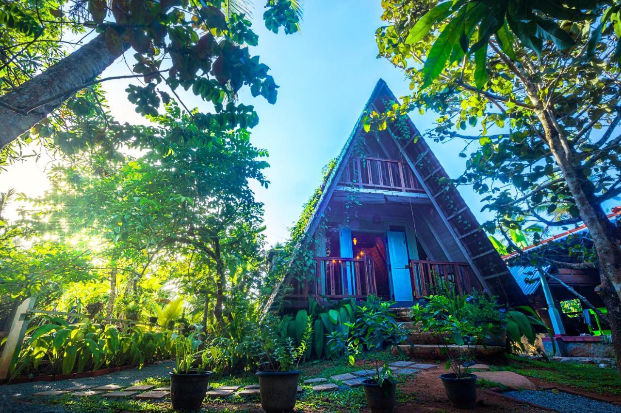 Villa Ovita Talpe Ngoại thất bức ảnh