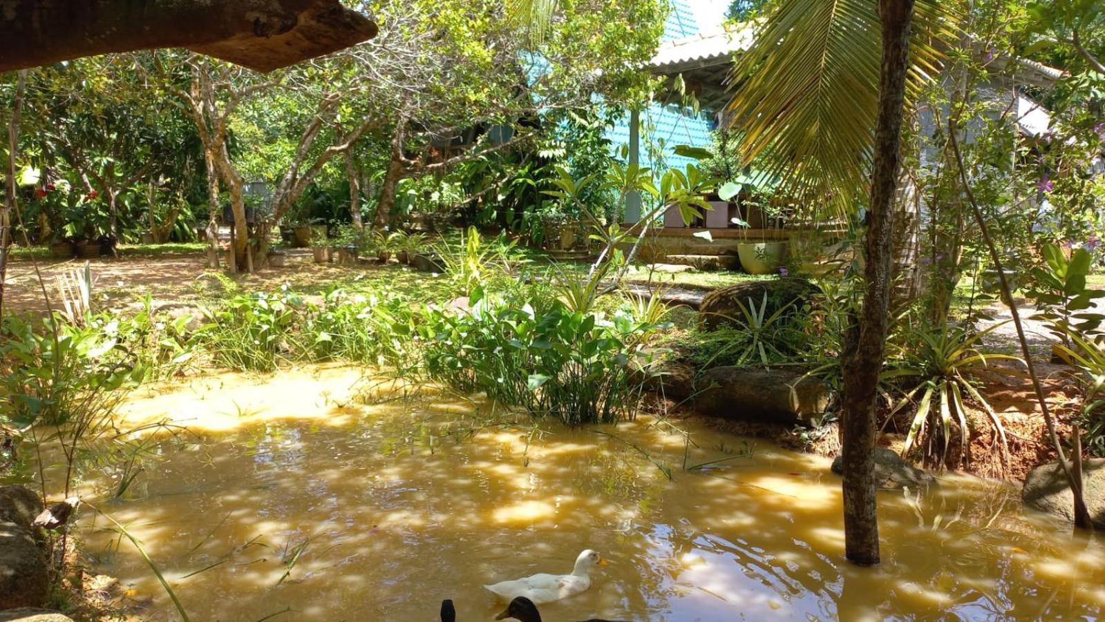 Villa Ovita Talpe Ngoại thất bức ảnh