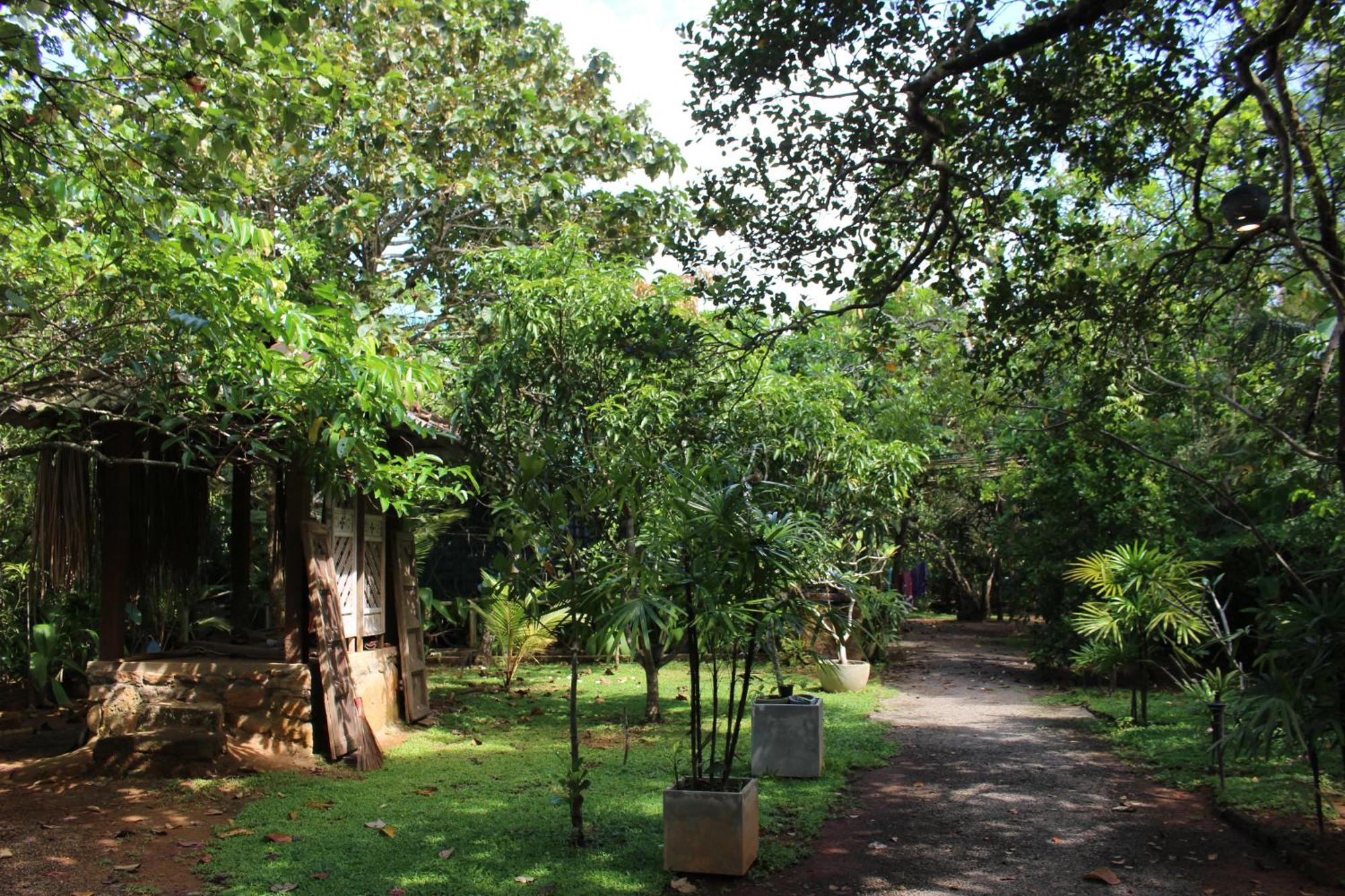 Villa Ovita Talpe Ngoại thất bức ảnh